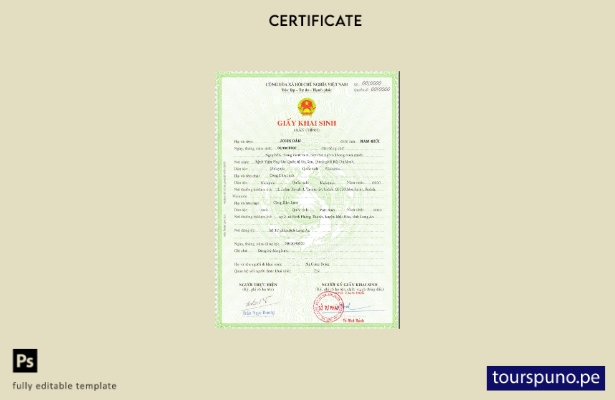 Plantilla de certificado de nacimiento de Vietnam lista para imprimir en formato